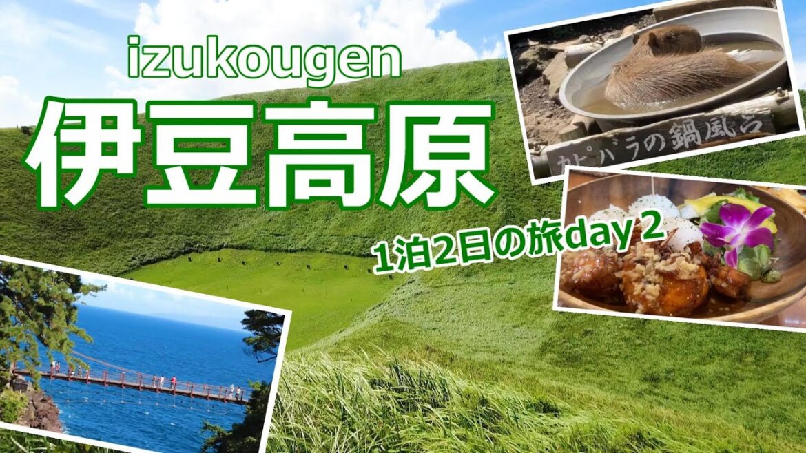 【伊豆旅行vlog】伊豆高原の絶景＆グルメ満喫旅♪　大室山｜伊豆シャボテン動物公園｜城ケ崎海岸［伊豆高原の旅＃３］